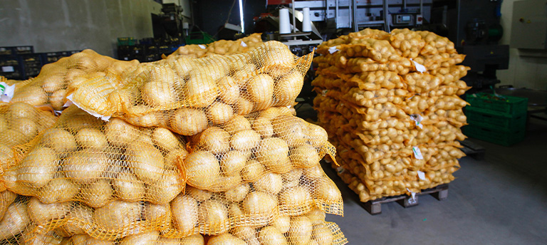 quickjump-weegtechniek quickjump-weegtechniek